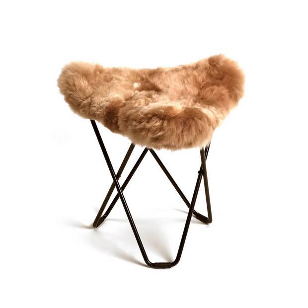 Weich-Coulture-Butterfly-1 Weich Coulture Butterfly